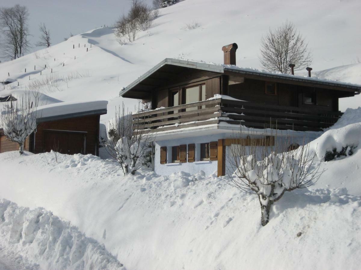 Villa Les Genets La Bresse Esterno foto