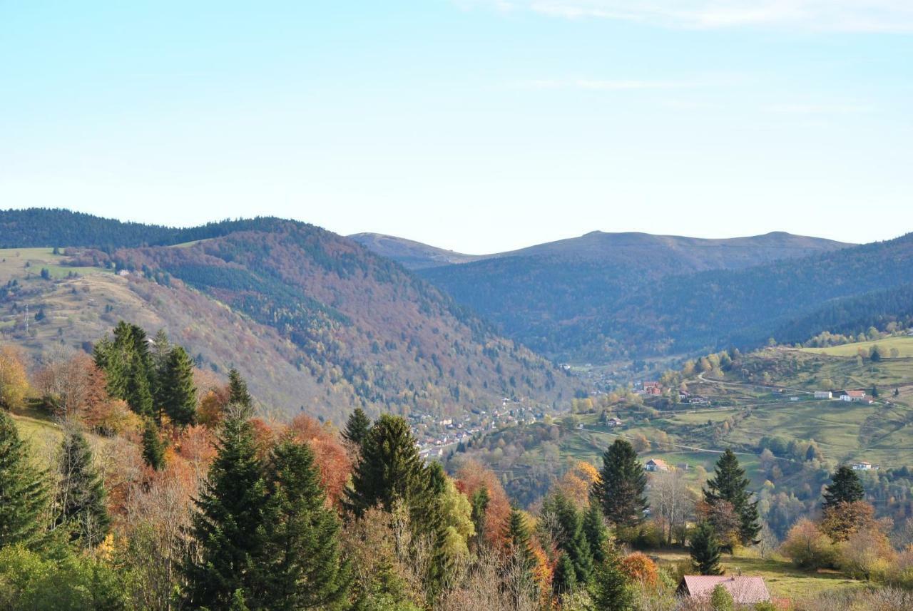Villa Les Genets La Bresse Esterno foto