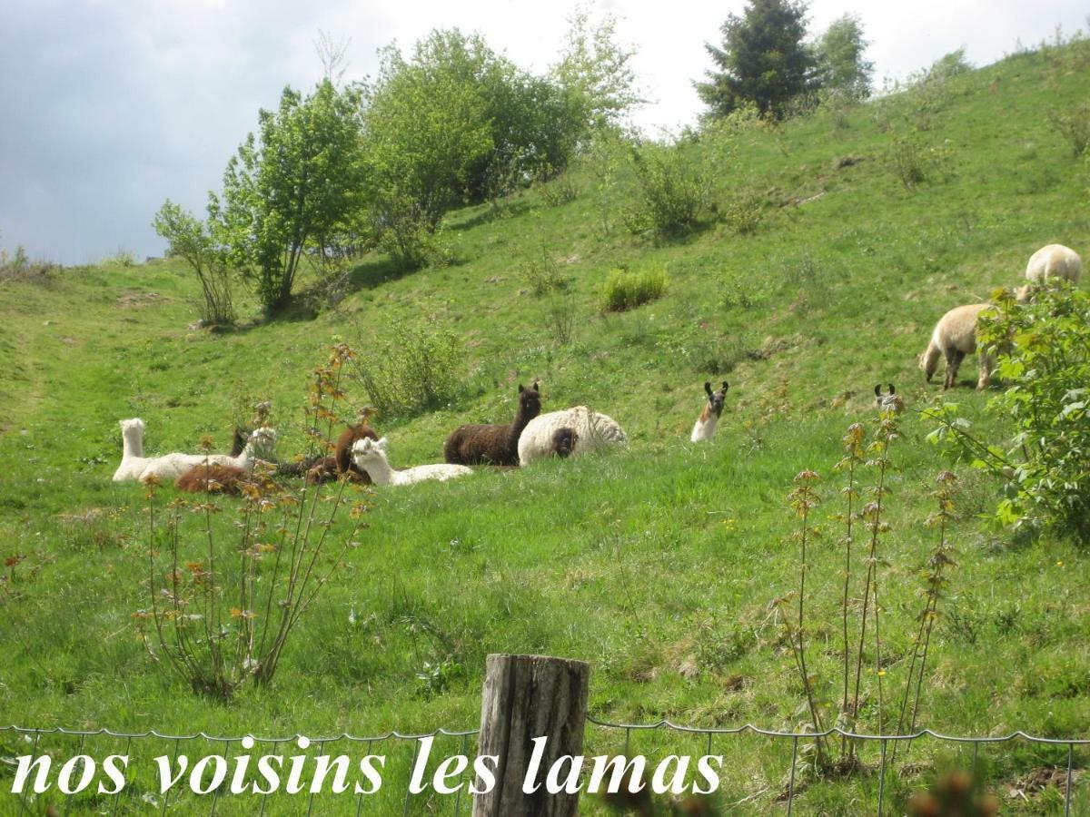Villa Les Genets La Bresse Esterno foto