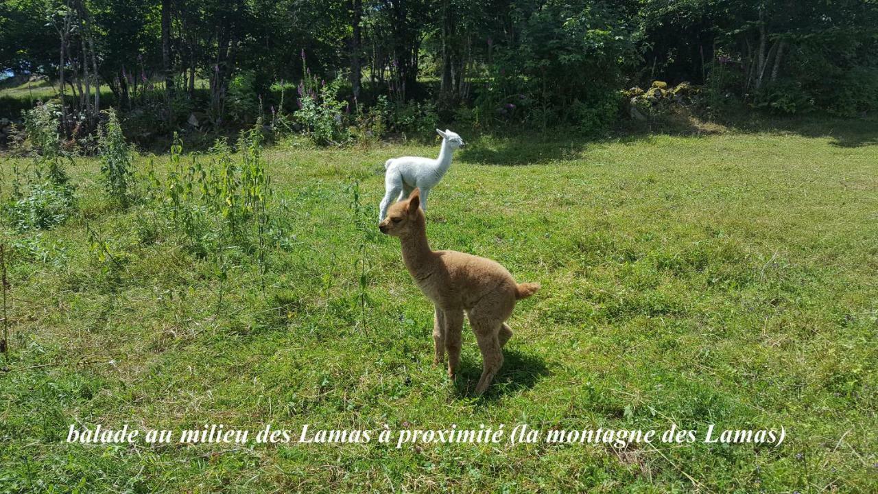 Villa Les Genets La Bresse Esterno foto