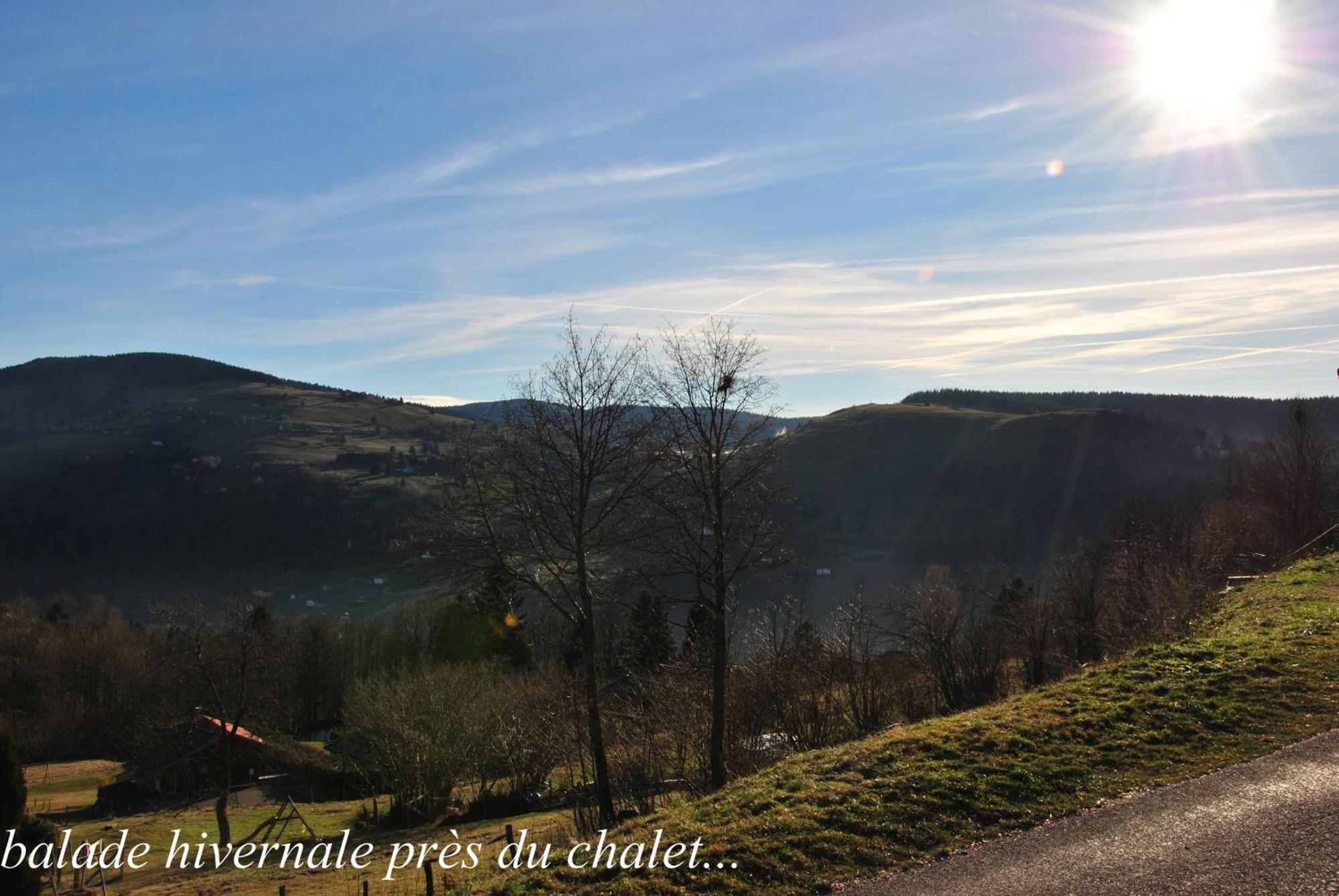 Villa Les Genets La Bresse Esterno foto
