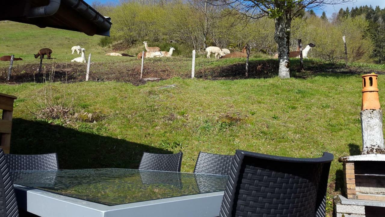 Villa Les Genets La Bresse Esterno foto