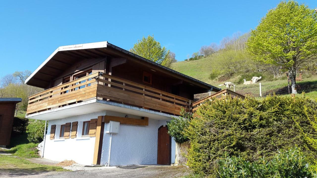 Villa Les Genets La Bresse Esterno foto